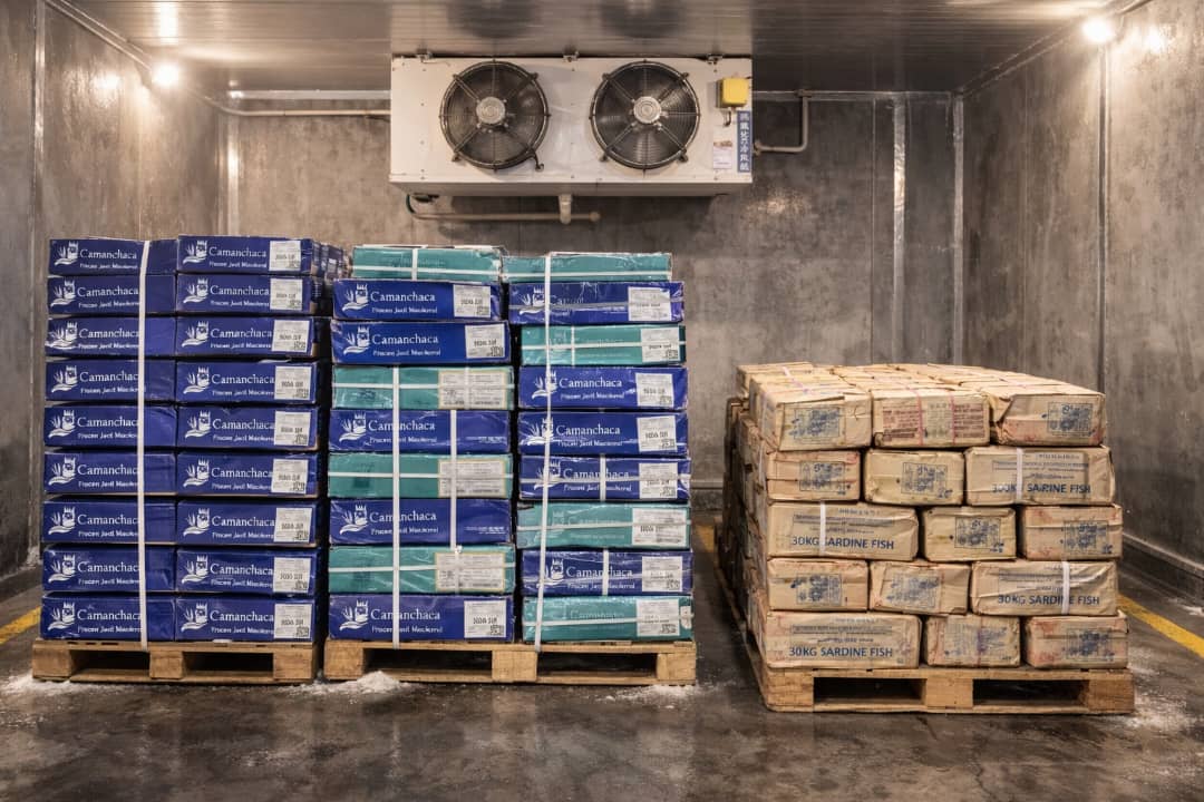 Wholesale frozen food cartons and bags Kaduna